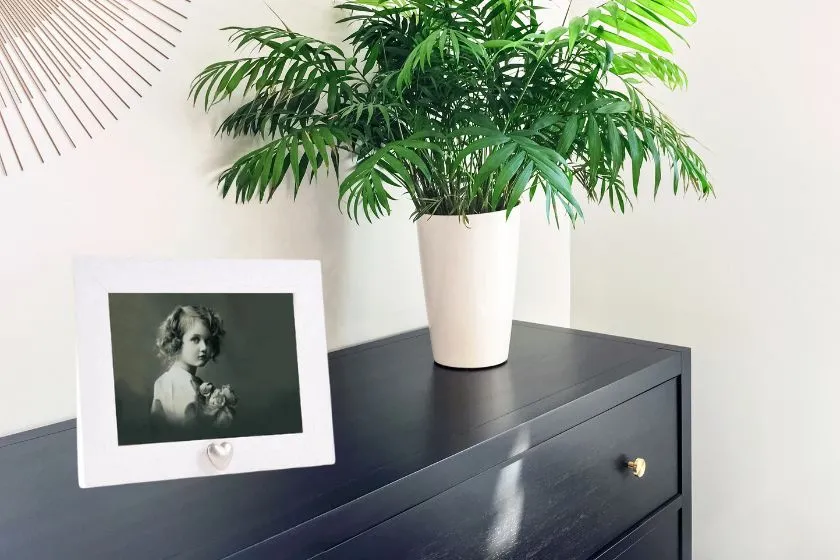 fotokader met hart urn